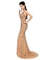 Χαμηλού Κόστους Βραδινά Φορέματα-Τρομπέτα / Γοργόνα Φανταχτερό Φόρεμα Επίσημο Βραδινό Ουρά Αμάνικο Λαιμόκοψη V Τούλι με Κρυστάλλινη λεπτομέρεια Πούλιες 2024