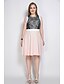 cheap Plus Size Lace Dresses-Women&#039;s A Line Dress Midi Dress Black Pink Sleeveless Dusty Rose Color Block Lace Round Neck Vintage Streetwear Lace L XL XXL 3XL 4XL 5XL 6XL 7XL / Plus Size / Plus Size