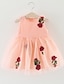 cheap Baby Girls&#039;  Dresses-Baby Girls&#039; Floral / Ruffle Holiday / Casual / Daily / Beach Solid Colored / Embroidered Sleeveless Cotton Dress