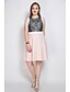 cheap Plus Size Lace Dresses-Women&#039;s A Line Dress Midi Dress Black Pink Sleeveless Dusty Rose Color Block Lace Round Neck Vintage Streetwear Lace L XL XXL 3XL 4XL 5XL 6XL 7XL / Plus Size / Plus Size