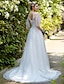 זול שמלות כלה-שמלות חתונה גזרת A צווארון V ללא שרוולים שובל סוויפ \ בראש טול שמלות כלה עם אפליקציות 2023