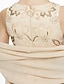 Χαμηλού Κόστους Φορέματα για τη Μητέρα της Νύφης-Γραμμή Α Με Κόσμημα Μακρύ Σιφόν / Δαντέλα χάντρες Φόρεμα Μητέρας της Νύφης με Χάντρες / Δαντέλα / Πλισέ με LAN TING BRIDE®