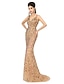 Χαμηλού Κόστους Βραδινά Φορέματα-Τρομπέτα / Γοργόνα Φανταχτερό Φόρεμα Επίσημο Βραδινό Ουρά Αμάνικο Λαιμόκοψη V Τούλι με Κρυστάλλινη λεπτομέρεια Πούλιες 2024