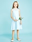 Χαμηλού Κόστους Φορέματα για παρανυφάκια-Ίσια Γραμμή Με Κόσμημα Μέχρι το γόνατο Σιφόν / Δαντέλα Φόρεμα Νεαρών Παρανύμφων με Δαντέλα