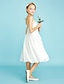 billige Juniorbrudepigekjoler-A-linje Etskuldret Knælang Blondelukning Junior brudepige kjole med Plissé