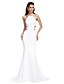 cheap Evening Dresses-Mermaid / Trumpet Beautiful Back Prom Formal Evening Dress Spaghetti Strap Sleeveless Court Train Jersey with Sash / Ribbon 2021