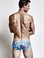 abordables Maillots de Bain Homme-Homme Bohème Bas Floral / Botanique