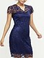 cheap Romantic Lace Dresses-Women&#039;s Lace Plus Size Daily Going out Street chic Bodycon Loose Lace Dress - Solid Colored Lace V Neck Spring Purple XXL XXXL XXXXL