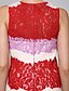 זול שמלות קוקטייל-מעטפת \ עמוד בלוק צבע שמלה סיום לימודים באורך  הברך ללא שרוולים עם תכשיטים תחרה עם תחרה 2023