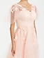 preiswerte Ballkleid-A-Linie Ballkleider Elegant Kleid kleid hochzeitsgast Cocktailparty Tee-Länge Kurzarm V Ausschnitt Tüll mit Applikationen 2024
