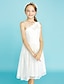זול שמלות שושבינה צעירה-גזרת A כתפיה אחת באורך  הברך תחרה שמלה לשושבינות הצעירות  עם קפלים