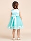 cheap Flower Girl Dresses-Princess Short / Mini Flower Girl Dress - Polyester Tulle Sleeveless Scoop Neck with Bow(s)