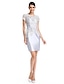 Χαμηλού Κόστους Φορέματα ειδικών περιστάσεων-Ίσια Γραμμή Illusion Seckline Μέχρι το γόνατο Δαντέλα / Σατέν Φόρεμα με Δαντέλα / Ζώνη / Κορδέλα με TS Couture®