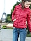 cheap Women&#039;s Outerwear-Women&#039;s Winter Padded Parka Daily Plus Size Classic Style Solid Colored Polyester Long Sleeve Hooded Black / Red / Blue S / M / L