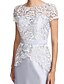 cheap Special Occasion Dresses-Sheath / Column Illusion Neck Knee Length Lace / Satin Dress with Lace / Sash / Ribbon by TS Couture®