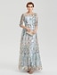 cheap Elegant Wedding Guest-A-Line Empire Dress Wedding Guest Party Wear Floor Length 3/4 Length Sleeve Illusion Neck Lace with Embroidery Appliques 2024