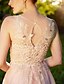 cheap Special Occasion Dresses-A-Line Elegant &amp; Luxurious Beautiful Back Prom Formal Evening Dress Illusion Neck Sleeveless Floor Length Tulle with Crystals Appliques 2020