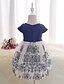 cheap Dresses-Girls&#039; Short Sleeve Flower 3D Printed Graphic Dresses Floral Satin Cotton Polyester Dress