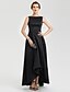 cheap Evening Dresses-A-Line Minimalist Dress Prom Asymmetrical Sleeveless Boat Neck Satin V Back with Pleats