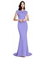 cheap Special Occasion Dresses-Sheath / Column Elegant Pastel Colors Formal Evening Black Tie Gala Dress Illusion Neck Short Sleeve Court Train Polyester with Crystals Beading 2020