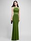 cheap Special Occasion Dresses-Sheath / Column Jewel Neck Floor Length Jersey Dress with Beading / Crystals by TS Couture®