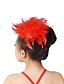 cheap Dance Accessories-Dance Accessories Ballet Feathers / Fur Training Feather / Performance