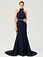 cheap Evening Dresses-Sheath / Column Elegant Dress Holiday Cocktail Party Court Train Sleeveless High Neck Chiffon with Sash / Ribbon Bow(s) Pleats 2024