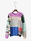 cheap Women&#039;s Sweaters-Women&#039;s Daily Going out Casual Regular Pullover,Color Block Round Neck Long Sleeves Cotton Spring Fall Thin Medium Micro-elastic