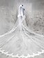 cheap Wedding Veils-Two-tier Lace Applique Edge Wedding Veil Cathedral Veils with Appliques Lace / Tulle / Classic