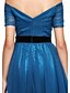 cheap Special Occasion Dresses-A-Line Celebrity Style Prom Formal Evening Dress Off Shoulder Short Sleeve Floor Length Tulle with Sash / Ribbon Criss Cross 2020