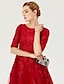 cheap Cocktail Dresses-Ball Gown Cute Dress Holiday Knee Length Half Sleeve Jewel Neck Lace Over Tulle with Sash / Ribbon Bow(s) Appliques