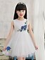 cheap Dresses-Girls&#039; Sleeveless Embroidered 3D Printed Graphic Dresses Floral Cotton Acrylic Dress Summer