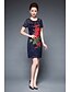cheap Women&#039;s Dresses-Women&#039;s Work Vintage Street chic Sheath Dress - Embroidered Lace