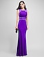 cheap Special Occasion Dresses-Sheath / Column Jewel Neck Floor Length Jersey Dress with Beading / Crystals by TS Couture®