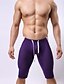 preiswerte Bademode für Herren-Herrn Sport Badeshorts BBikinihose Bademode Badeanzug - Solide S M L Blau Purpur Gelb Armeegrün Khaki / Sommer / 1 Stück / Skinny / Super Sexy