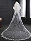 cheap Wedding Veils-Two-tier Lace Applique Edge Wedding Veil Chapel Veils with Satin Flower / Embroidery Tulle / Classic