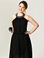 cheap Cocktail Dresses-A-Line Black Dress Dress Homecoming Cocktail Party Asymmetrical Sleeveless Halter Neck Chiffon with Pleats Crystals 2024