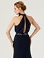 cheap Evening Dresses-Sheath / Column Elegant Dress Holiday Cocktail Party Court Train Sleeveless High Neck Chiffon with Sash / Ribbon Bow(s) Pleats 2024