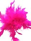 cheap Dance Accessories-Dance Accessories Ballet Feathers / Fur Training Feather / Performance