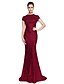 cheap Evening Dresses-Sheath / Column Celebrity Style Dress Formal Evening Sweep / Brush Train Short Sleeve Jewel Neck Sequined with Sequin 2022 / Sparkle &amp; Shine