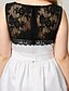 cheap Prom Dresses-A-Line Fit &amp; Flare Color Block Holiday Homecoming Cocktail Party Dress Illusion Neck Sleeveless Knee Length Lace Satin with Lace Insert 2020