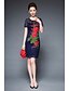 cheap Women&#039;s Dresses-Women&#039;s Work Vintage Street chic Sheath Dress - Embroidered Lace