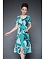 cheap Women&#039;s Dresses-Women&#039;s Daily Going out Vintage Street chic Sheath Swing Dress Print Summer Blue XXL XXXL XXXXL