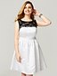 cheap Prom Dresses-A-Line Fit &amp; Flare Color Block Holiday Homecoming Cocktail Party Dress Illusion Neck Sleeveless Knee Length Lace Satin with Lace Insert 2020