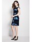 cheap Women&#039;s Dresses-Women&#039;s Party Going out Vintage Sheath Dress - Embroidered Flower Fall Blue Red L XL XXL