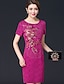 Χαμηλού Κόστους Γυναικεία Φορέματα-Γυναικεία Εφαρμοστό Μίνι φόρεμα Φούξια Ρουμπίνι Κοντομάνικο Μονόχρωμο Κέντημα Χάντρες Φθινόπωρο Καλοκαίρι Στρογγυλή Λαιμόκοψη Εκλεπτυσμένο M L XL XXL 3XL 4XL / Μεγάλα Μεγέθη / Μεγάλα Μεγέθη