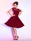 cheap Special Occasion Dresses-A-Line / Fit &amp; Flare Illusion Neck Knee Length Lace Dress with Buttons / Draping by TS Couture®