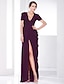 cheap Evening Dresses-Sheath / Column Celebrity Style Dress Formal Evening Military Ball Floor Length Short Sleeve Plunging Neck Chiffon with Ruched Draping Split Front 2023