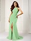 cheap Special Occasion Dresses-Sheath / Column Halter Neck Sweep / Brush Train Chiffon Dress with Split Front by TS Couture®
