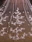 voordelige Bruidssluiers-Tweelaags Kanten appliqué rand Bruidssluiers Gezichtssluiers / Elleboogsluiers / Kapelsluiers met Sprankelend glitter / Appliqués Tule / Ovaal